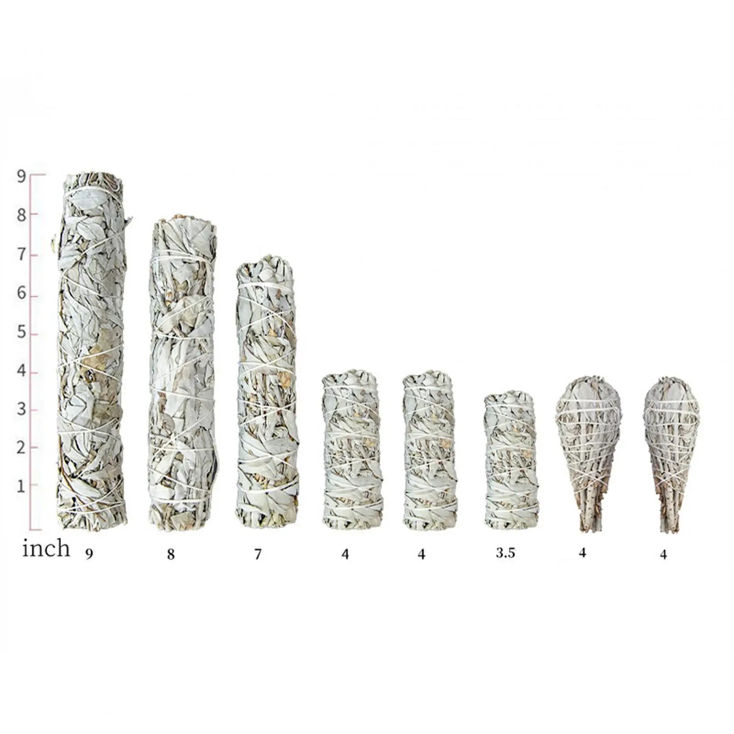 White Sage Smudge Sticks Bundle For Home Purification And Yoga