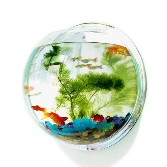 Acrylic Wall Mounted Fish Tank Vase For Home Decor