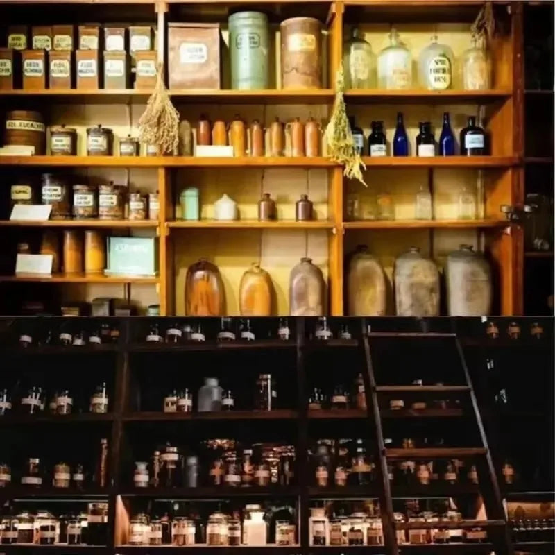 The Holistic Home Apothecary Forgotten Remedies Natural Herbal Wellness Guide