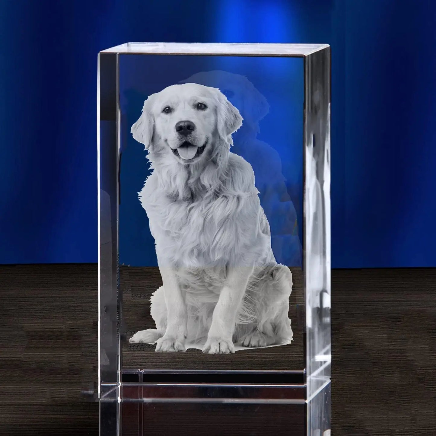 Crystal Cube Photo Album Sympathy Keepsake Pet Loss Gift
