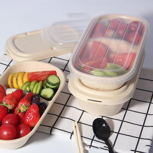 Biodegradable Bamboo Pulp Bento Lunch Boxes Disposable Food Containers