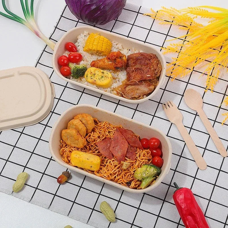 Biodegradable Bamboo Pulp Bento Lunch Boxes Disposable Food Containers