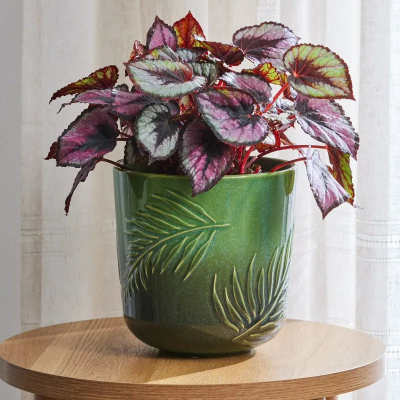 Ceramic Botanical Planter For Indoor And Outdoor Plants