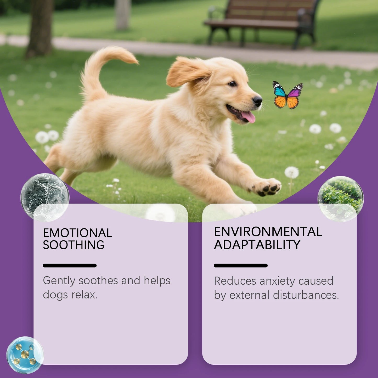 YEGBONG Dog Calming Emotional Care Spray Separation Anxiety