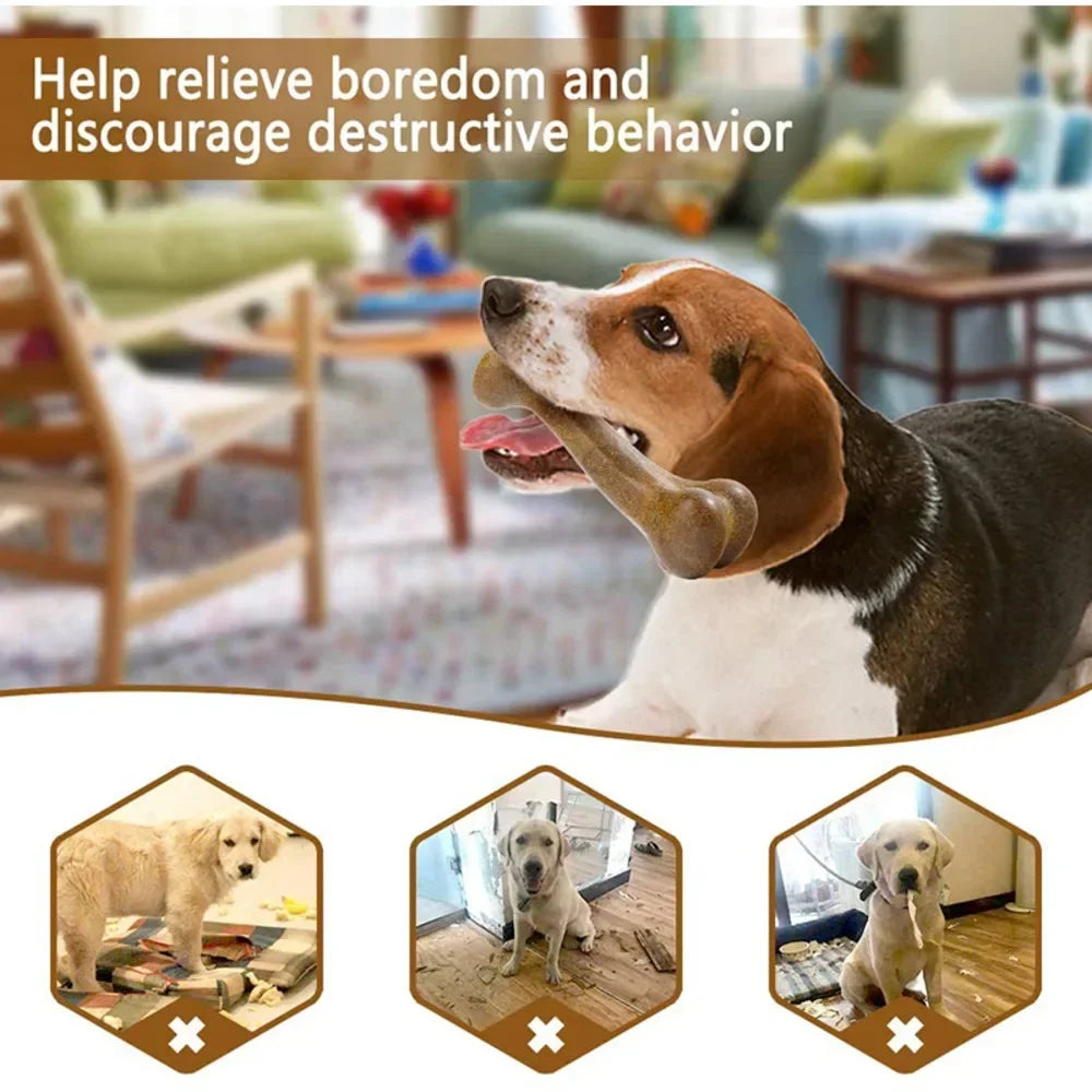 Dog Bone Chew Toy Nearly Indestructible Nontoxic Dental Care