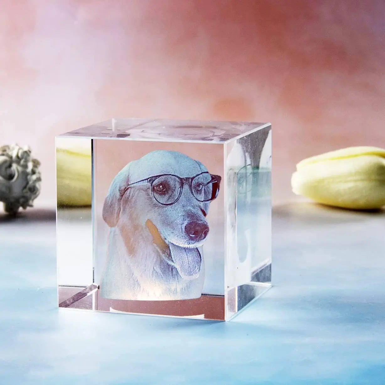 Crystal Cube Photo Album Sympathy Keepsake Pet Loss Gift