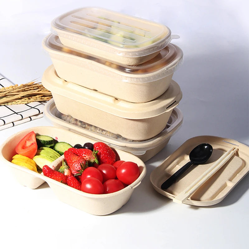 Biodegradable Bamboo Pulp Bento Lunch Boxes Disposable Food Containers