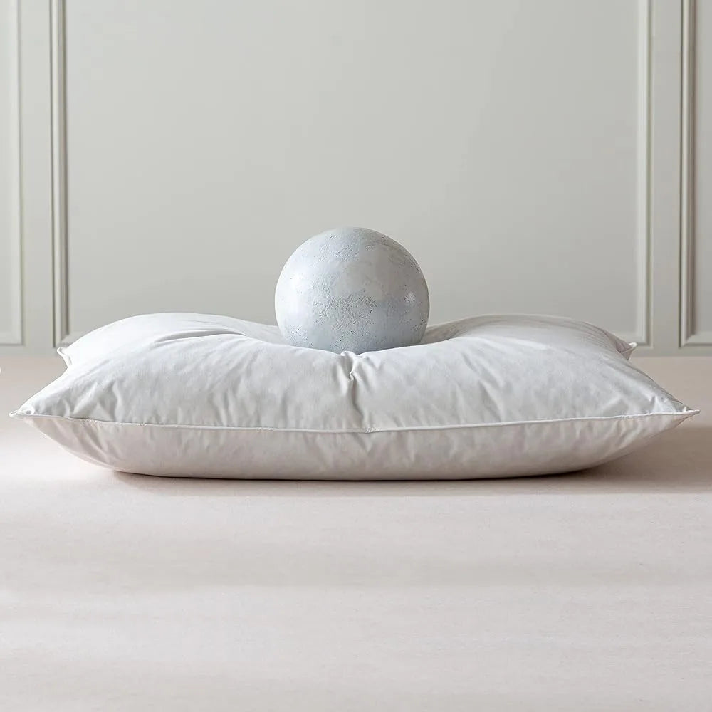 Duck Feathers and Down Pillows With Cotton Cover Set of 2