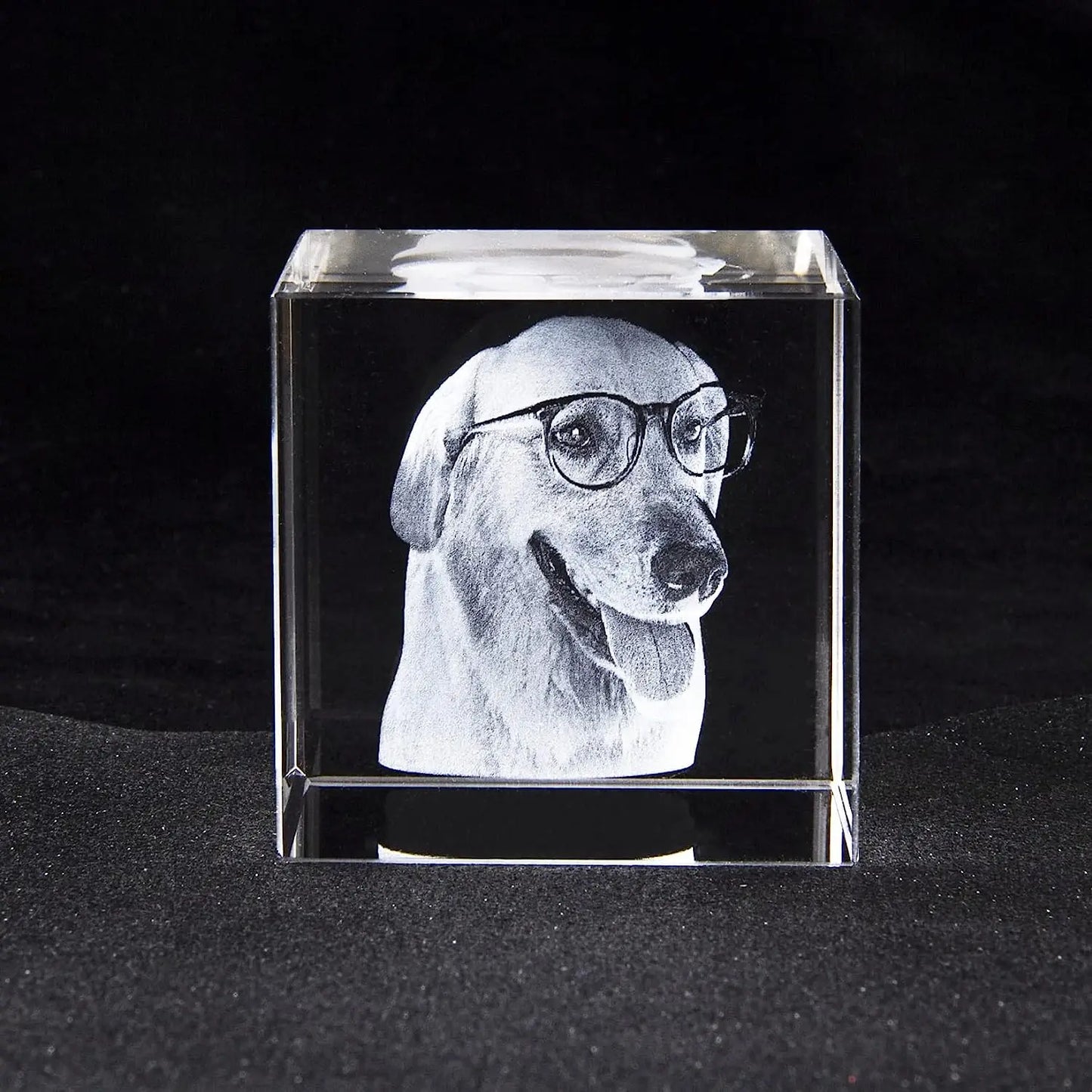 Crystal Cube Photo Album Sympathy Keepsake Pet Loss Gift