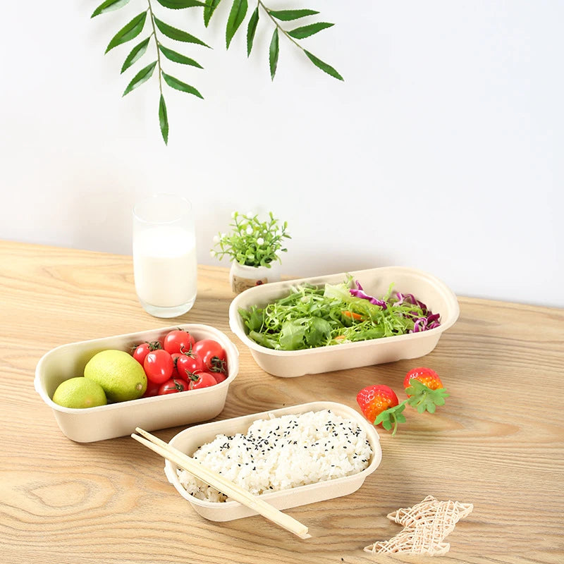 Biodegradable Bamboo Pulp Bento Lunch Boxes Disposable Food Containers