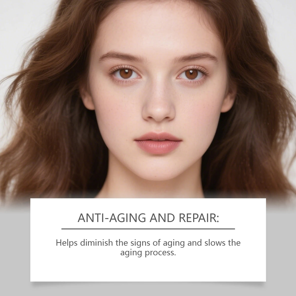 Korean Centella Asiatica Hydrating Anti Aging Firming Face Cream