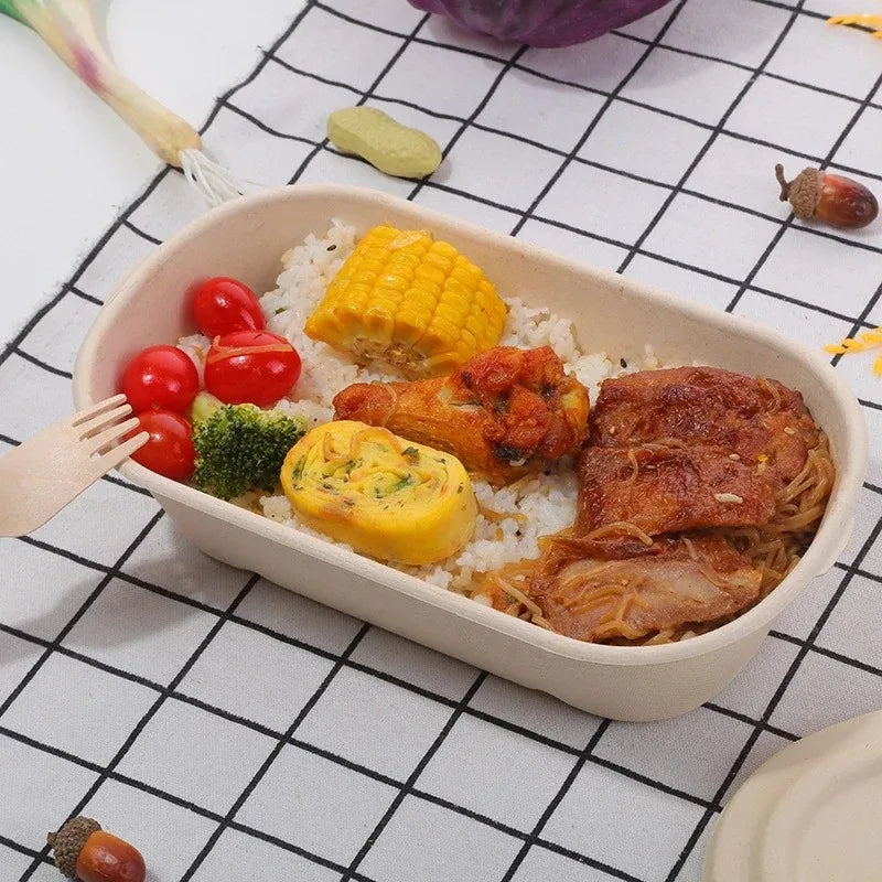 Biodegradable Bamboo Pulp Bento Lunch Boxes Disposable Food Containers