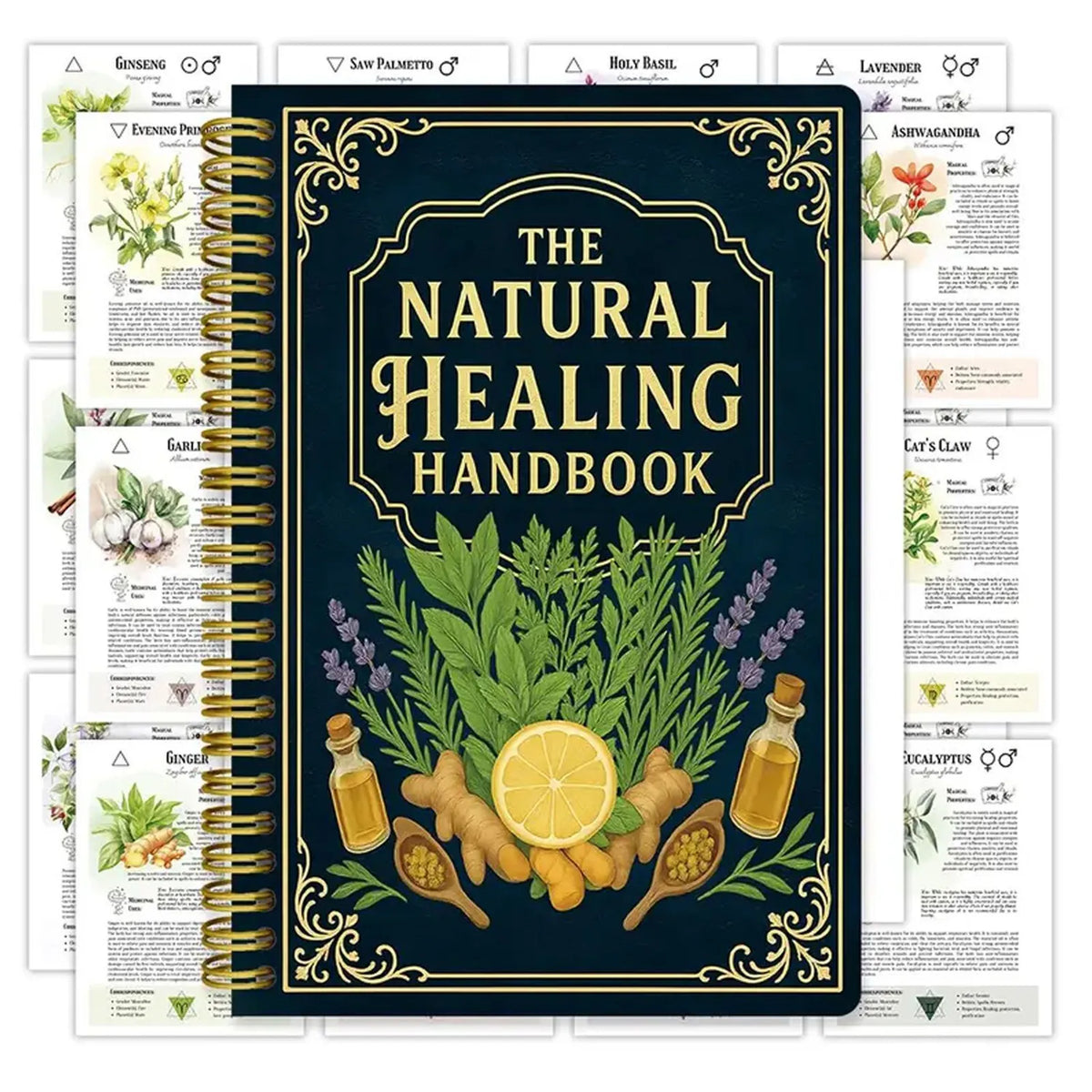 Luna Filby Natural Healing Handbook For Holistic Wellness Self Care