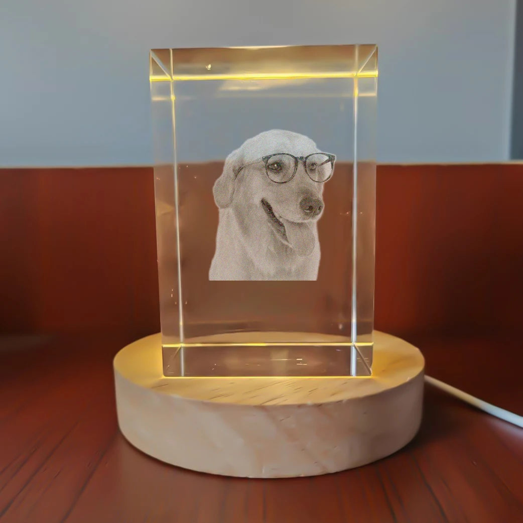 Crystal Cube Photo Album Sympathy Keepsake Pet Loss Gift